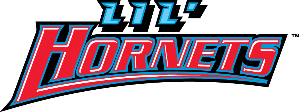 Delaware State Hornets 2004-Pres Misc Logo v3 iron on transfers for T-shirts